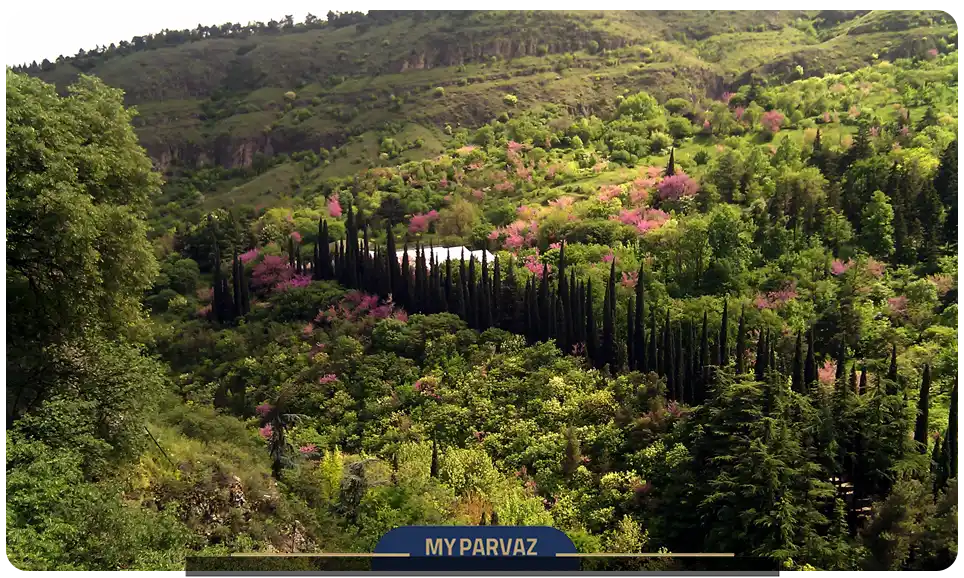 باغ گیاه شناسی ملی گرجستان